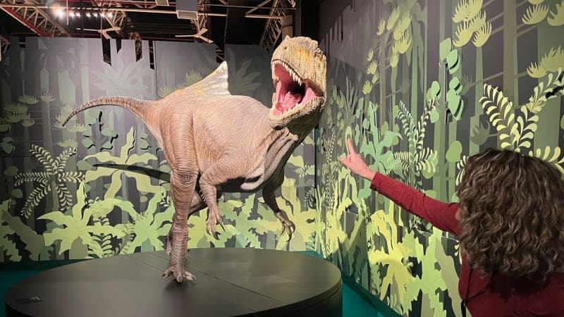 Cazadores de Dragones